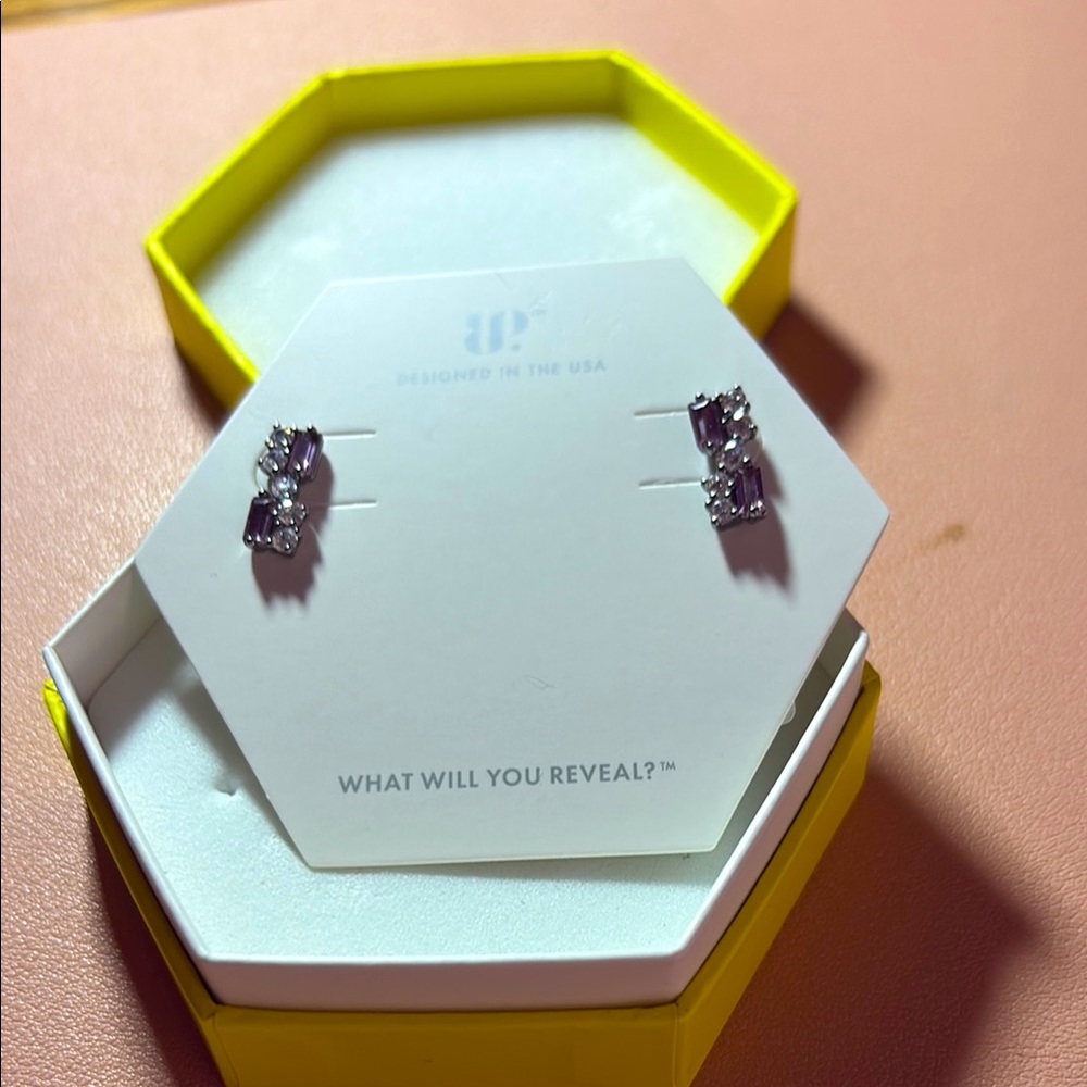 Elegant Silver Earrings